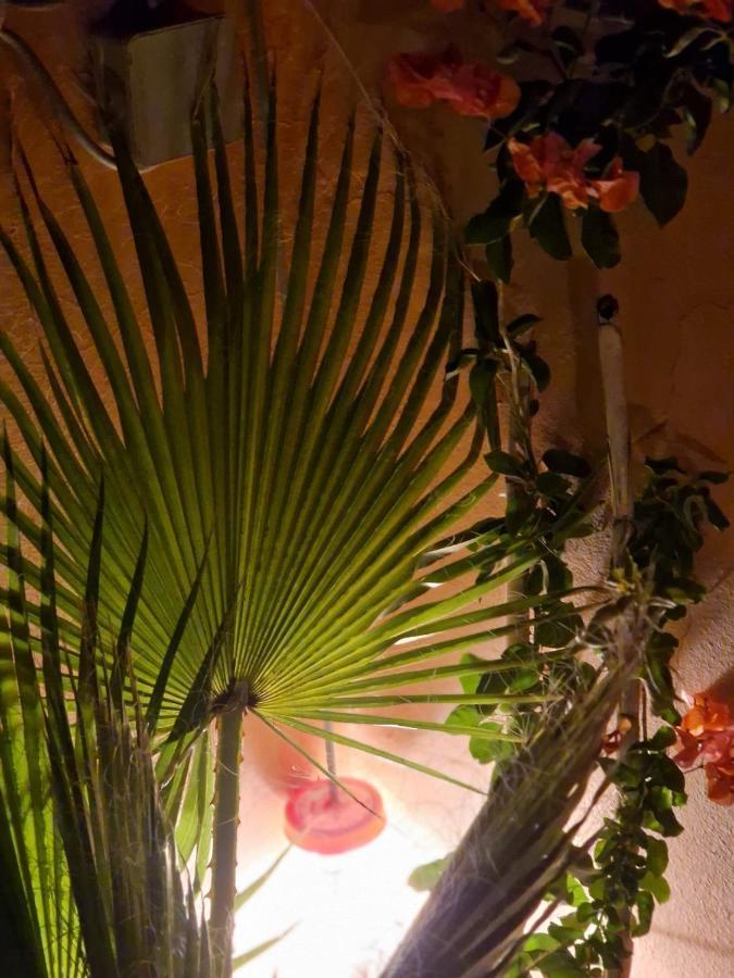 Maison Noe , Residence Al Quaria , Ab40 Marrakesh Eksteriør billede