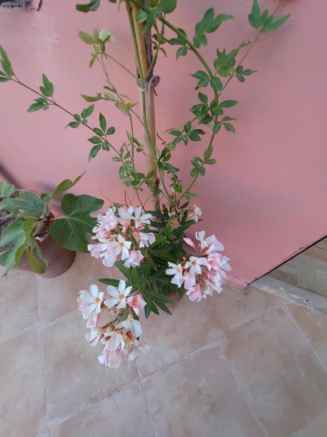 Maison Noe , Residence Al Quaria , Ab40 Marrakesh Eksteriør billede
